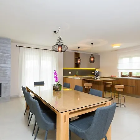 Villa Activity Nata With Pool In Porec Dracevac